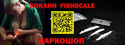дмт Славгород