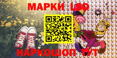 дмт Славгород