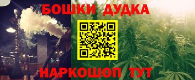 дмт Славгород