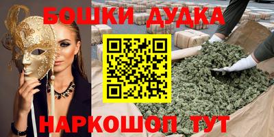 дмт Славгород