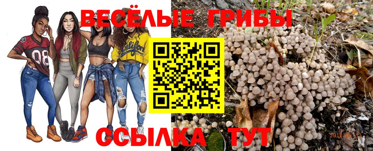 Галлюциногенные грибы мухоморы  Галлюциногенные грибы мухоморы  Новокубанск  Вход с VPN 