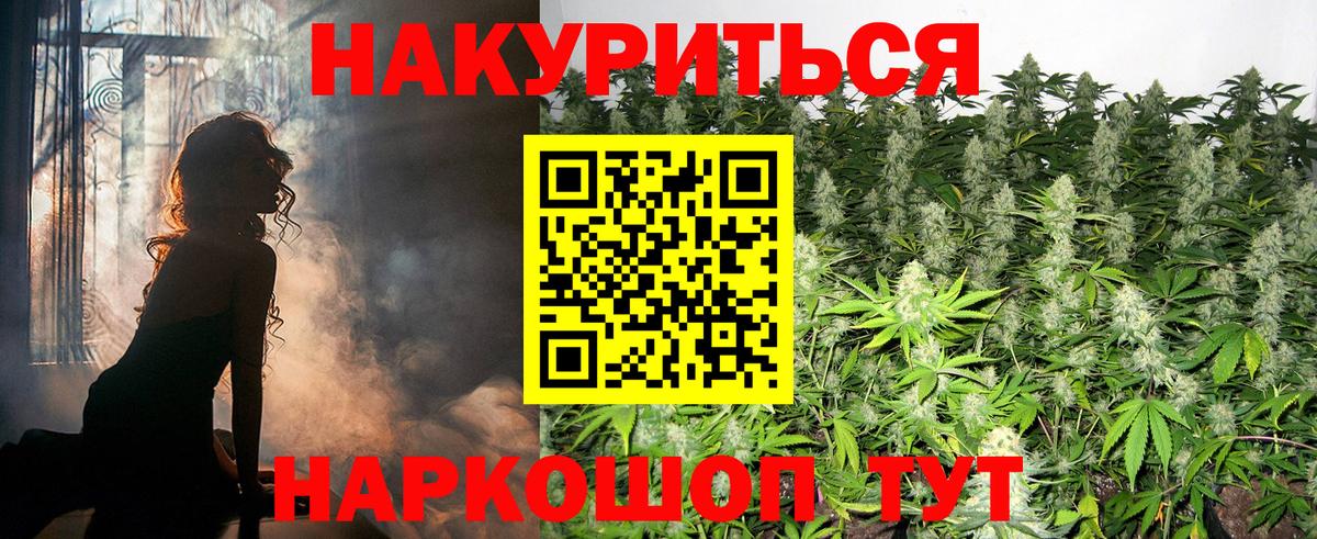 APVP Новокубанск